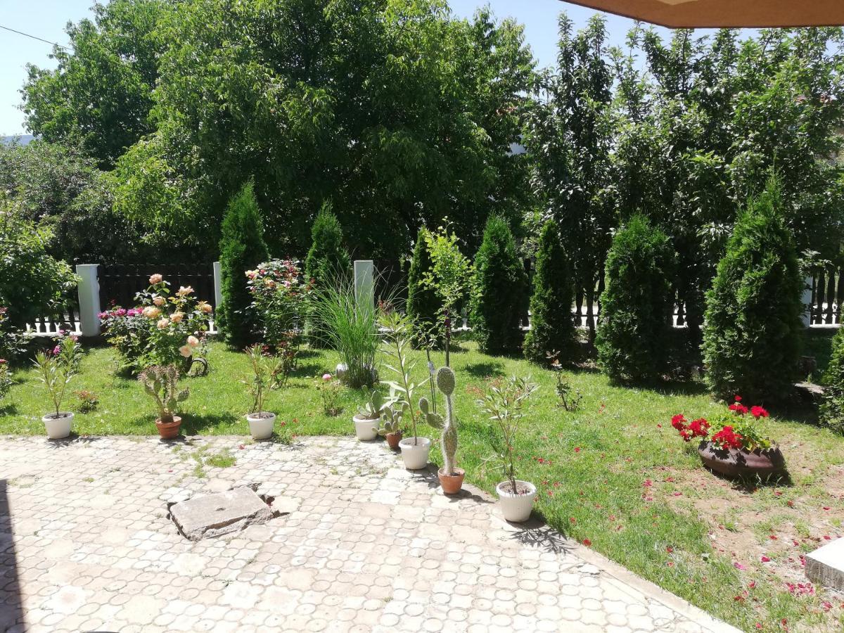 Apartmani Tvins 소코 반자 외부 사진